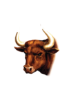 Jeff's California Cattle Co