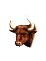 Jeff's California Cattle Co