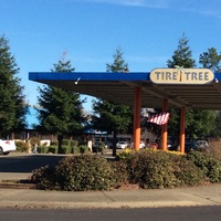 The Tire Tree