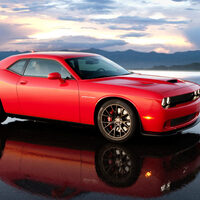 Late Generation Muscle