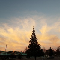 Mistletoe Elementary School