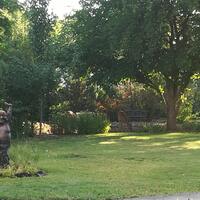 Center For Spiritual Living