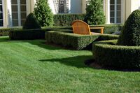 Lawn Care Perfection