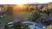 Matson Vineyards