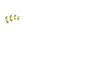 Cascade Theatre