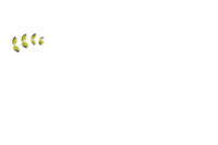 Cascade Theatre
