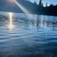Whiskeytown-Shasta-Trinity National Recreation Area
