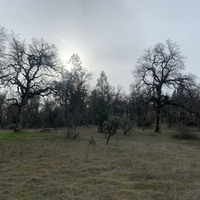 Oregon Gulch Open Space