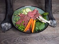 Pet Care Naturally