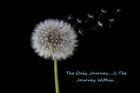 StaciRossTherapy.com