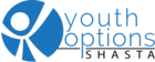 Youth Options Shasta (Youth Violence Prevention Council)
