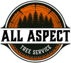 All Aspect Tree Service