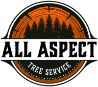 All Aspect Tree Service