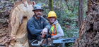 Rigby Timber / Flow State Tree Works