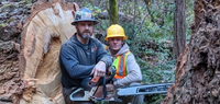 Rigby Timber / Flow State Tree Works