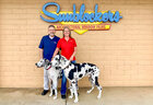Sunblockers Window Tinting
