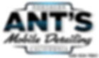 Ant's mobile auto detail