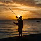 Shasta Lake Bait & Tackle