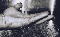 Grade Drilling Inc.