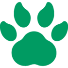 Cash Loans Bear
