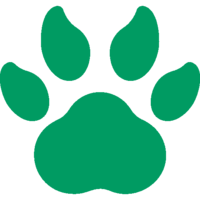 Cash Loans Bear