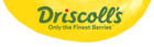 Driscoll’s