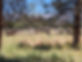 Ohm Ranch