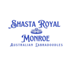 Shasta Royal Monroe