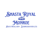 Shasta Royal Monroe