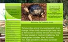 Tortoise Acres Rescue & Sanctuary